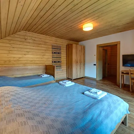 Chalet 5 стефанія Mykulychyn