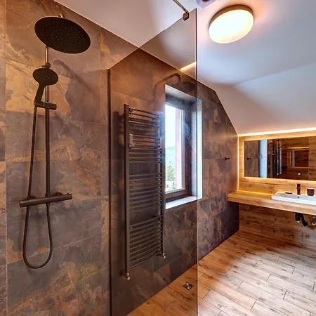 Chalet 5 стефанія Mykulychyn