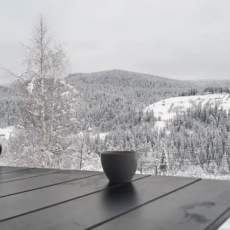 Chalet 5 стефанія Mykulychyn